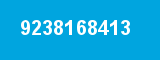 9238168413