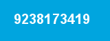 9238173419