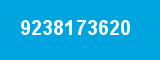 9238173620