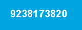 9238173820