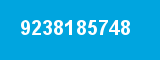 9238185748