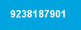 9238187901