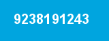 9238191243