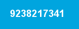 9238217341