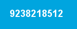 9238218512