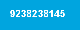 9238238145