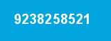 9238258521