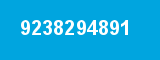 9238294891