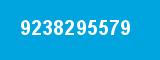 9238295579