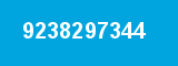 9238297344 9238297344