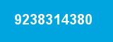 9238314380