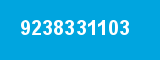 9238331103