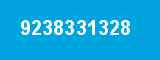9238331328