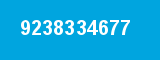 9238334677