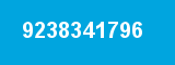 9238341796