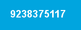 9238375117