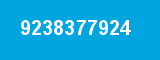 9238377924