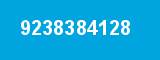 9238384128
