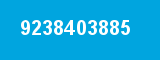 9238403885