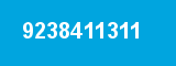 9238411311