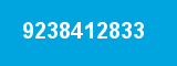 9238412833