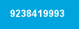 9238419993