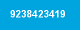 9238423419