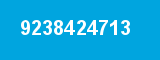 9238424713