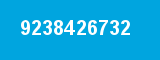 9238426732