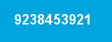 9238453921 9238453921
