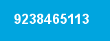 9238465113