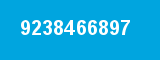 9238466897