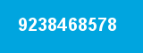 9238468578