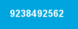 9238492562