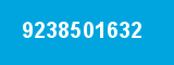 9238501632