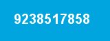 9238517858
