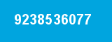 9238536077