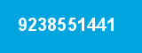 9238551441