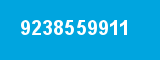 9238559911
