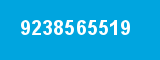 9238565519