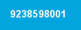 9238598001