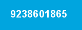 9238601865
