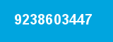 9238603447