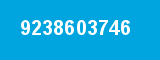9238603746