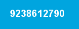 9238612790