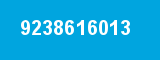 9238616013