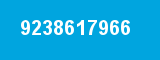 9238617966