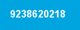 9238620218