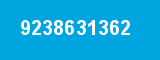 9238631362