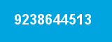9238644513